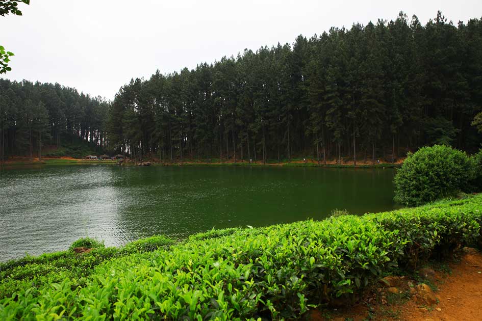  Sembuwaththa Lake view