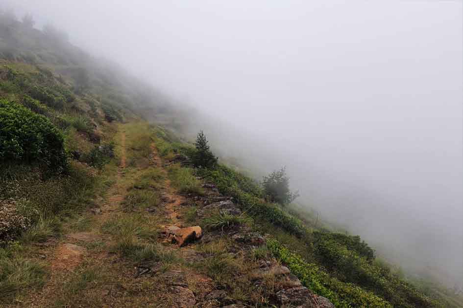 Mists overtake the path in Devil's Staircase.